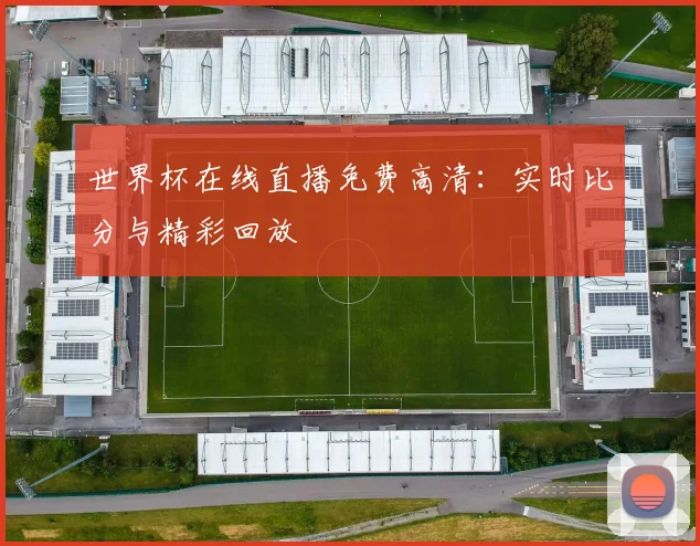 世界杯在线直播免费高清：实时比分与精彩回放